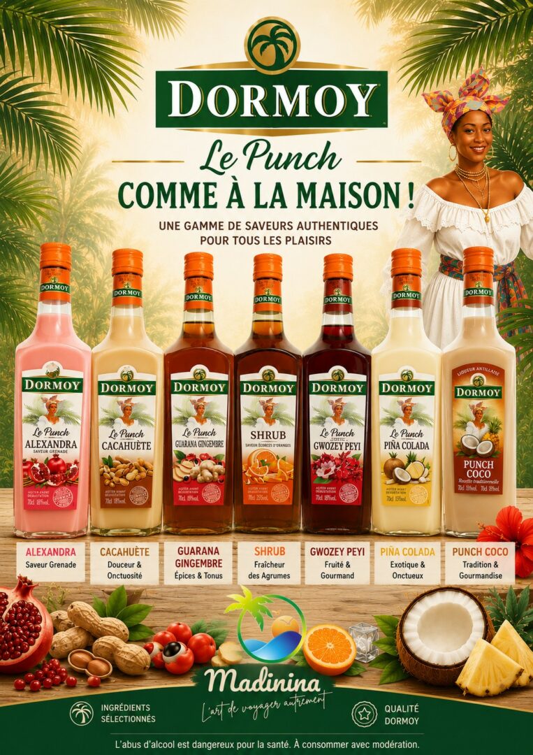 AFFICHE PUNCH DORMOY Copie