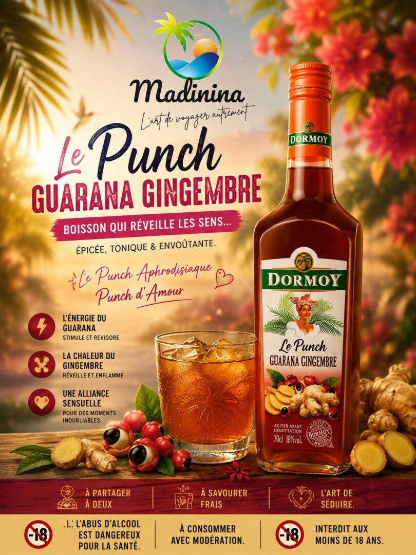 PUNCH GUARANA GIGEMBRE